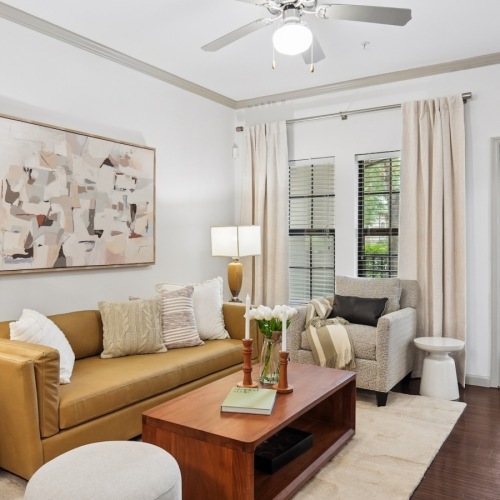 Open space living area with natural lighting